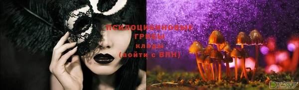 эйфоретик Алзамай