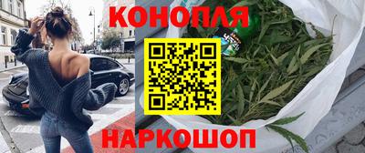 индика Дубна