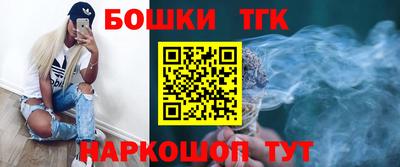 индика Дубна