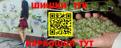 индика Дубна